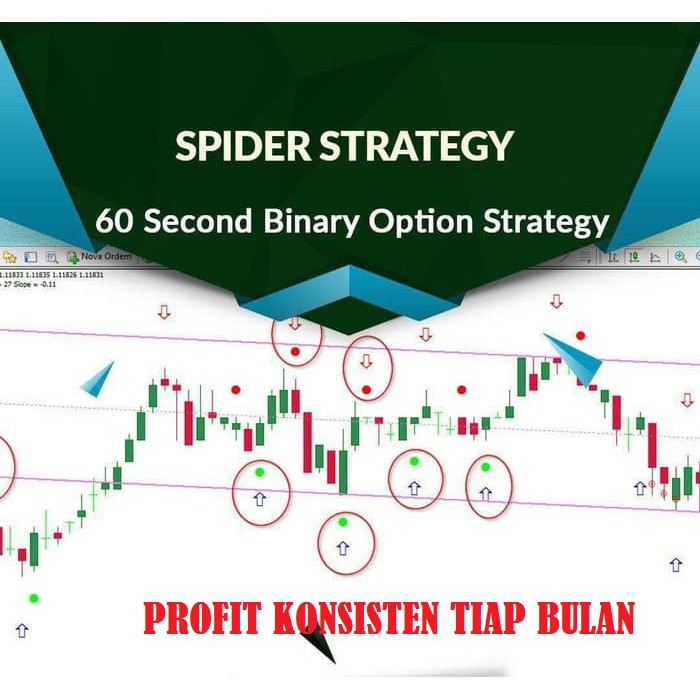 Belajar Trading Olymp Trade Pdf Unbrick Id