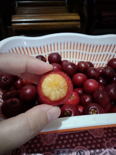 Vacum Cleaner Penyedot Debu Xiaomi Deerma 2 In 1 Vertical Handheld Vacuum