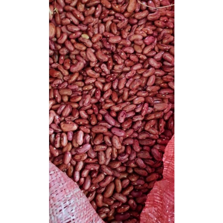 

Kacang Merah / Kacang Jogo 250 G Gram Premium Ukuran Besar DiJamin FRESH!!!