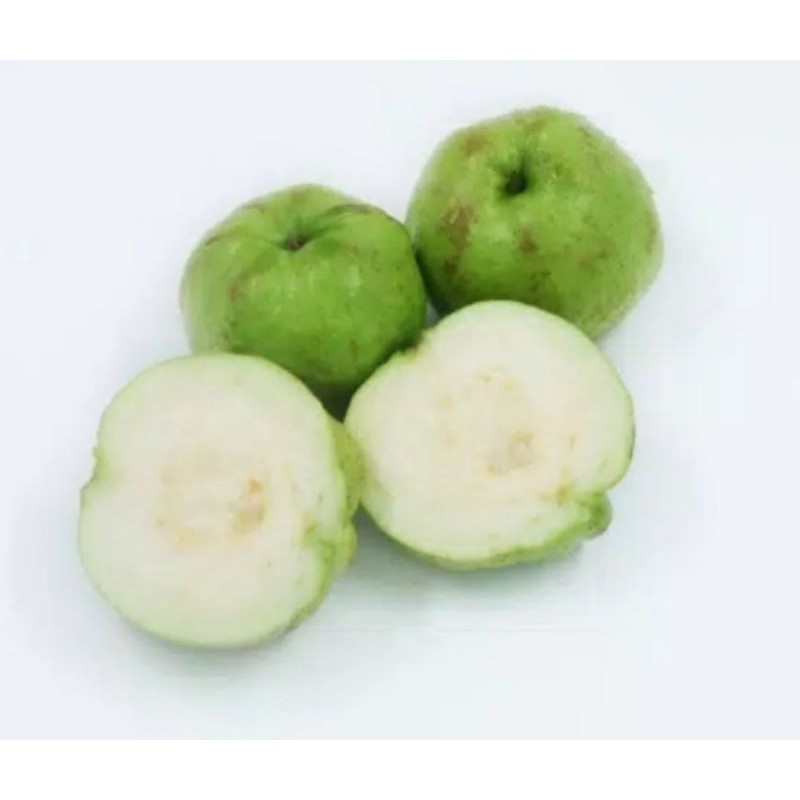 

Jambu Kristal A