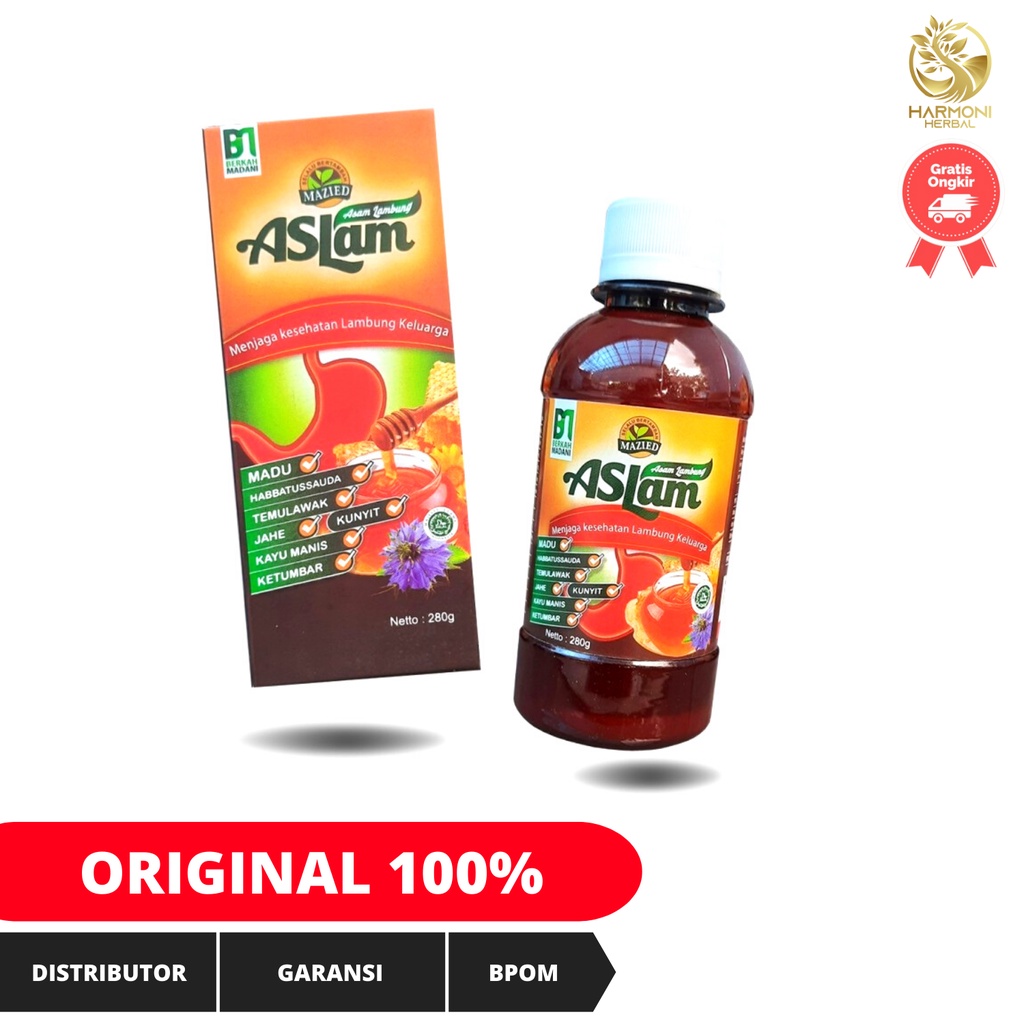 Madu Aslam Asam Lambung Maag 6 In 1 Origginal 280gr