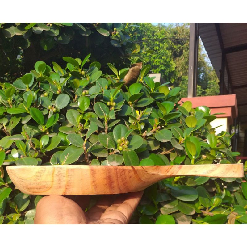 teflon kayu mahoni 15cm