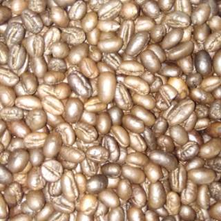 Kopi Robusta Lampung PEABERRY 250 gram "BRAZICA" ( Biji