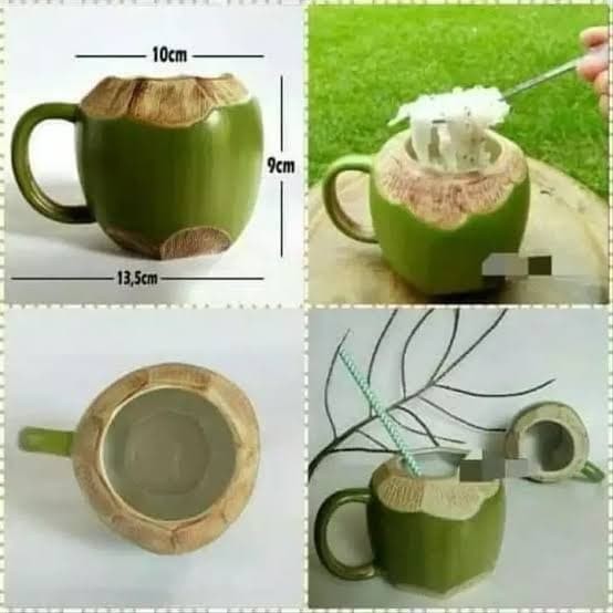Mug Kelapa Keramik/Coconut Mug Premium Vitalia
