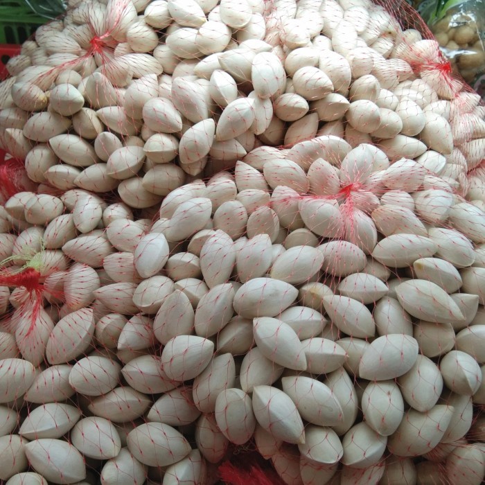 

GINGKO NUT (0,9-1 KG)