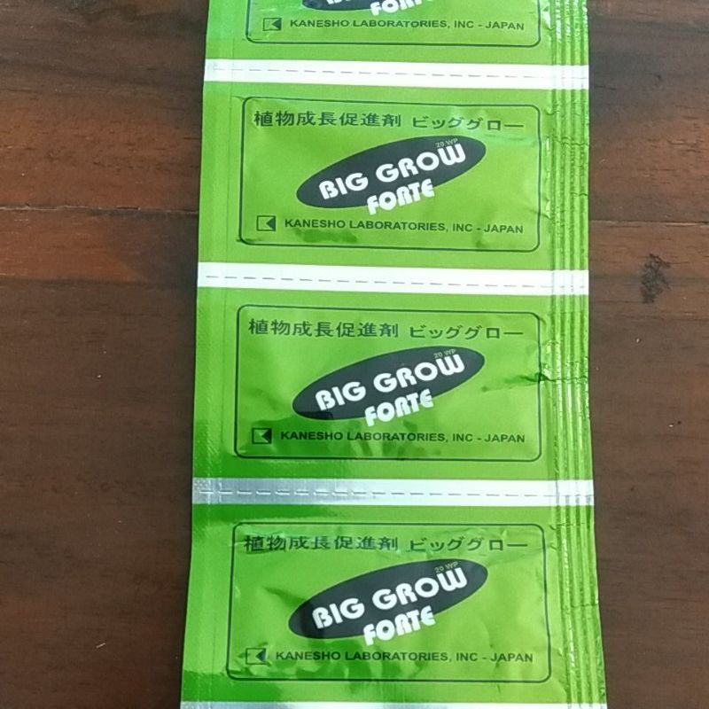 BIG GROW FORTE 20 WP 1 gr