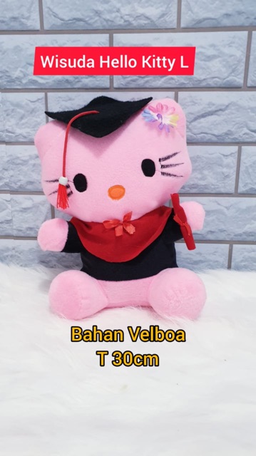 Boneka Wisuda Karakter lucu ( Ukuran L )