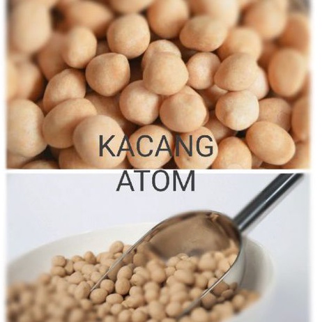 

KACANG ATOM KILONAN 250 GRAM