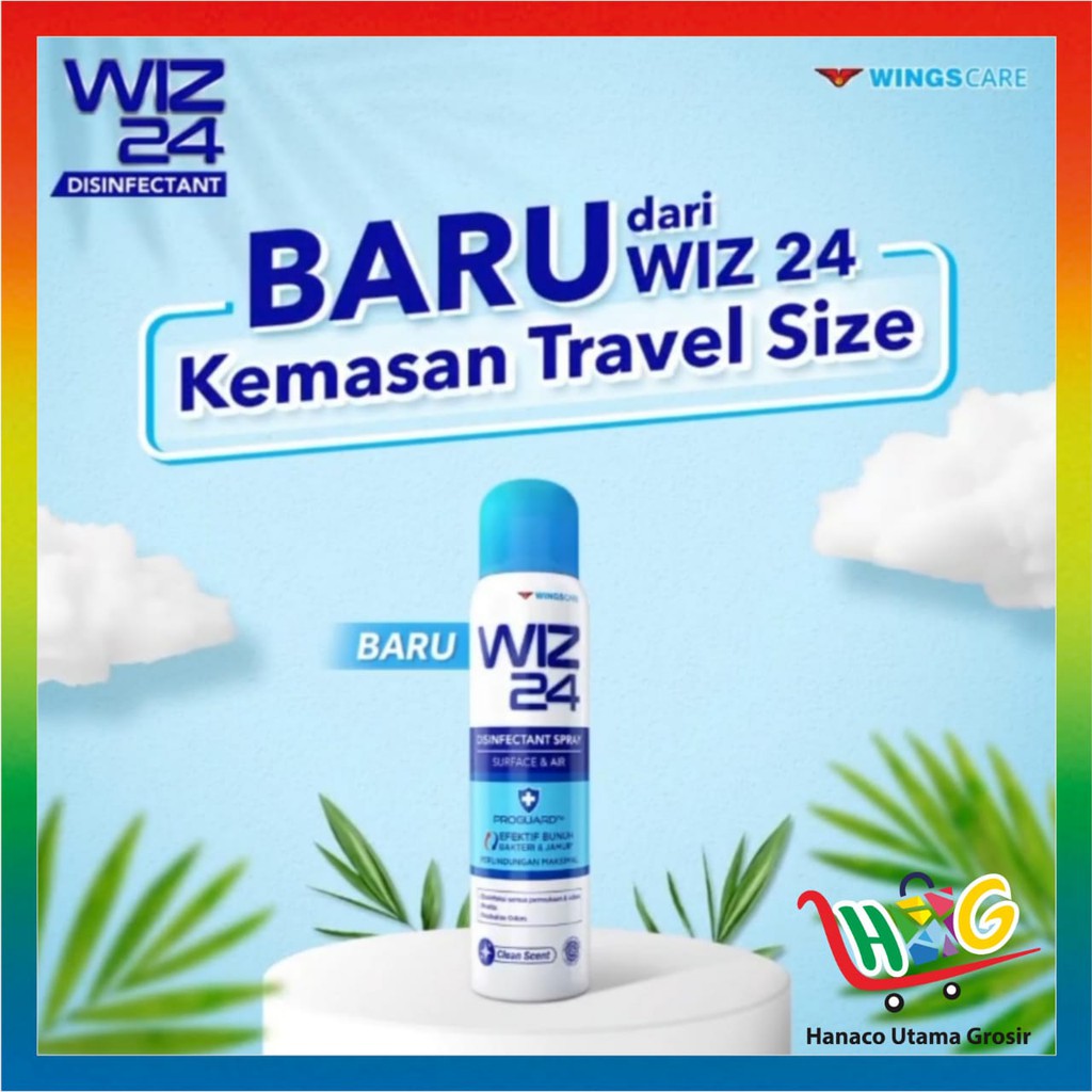 Wiz 24 Disinfectant Spray Aerosol 100 ml