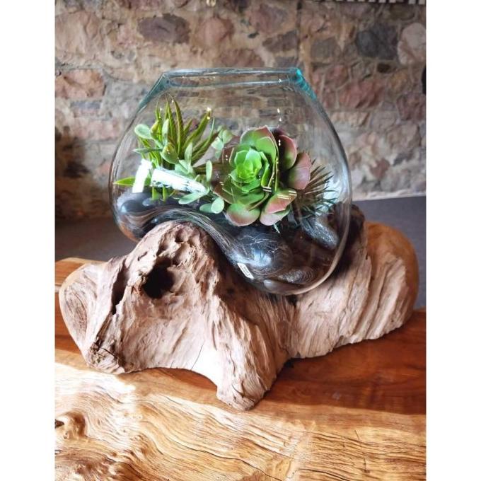 ] AKUARIUM IKAN CUPANG - SIZE L / AQUASCAPE / AQUARIUM UNIK GLASSWOOD