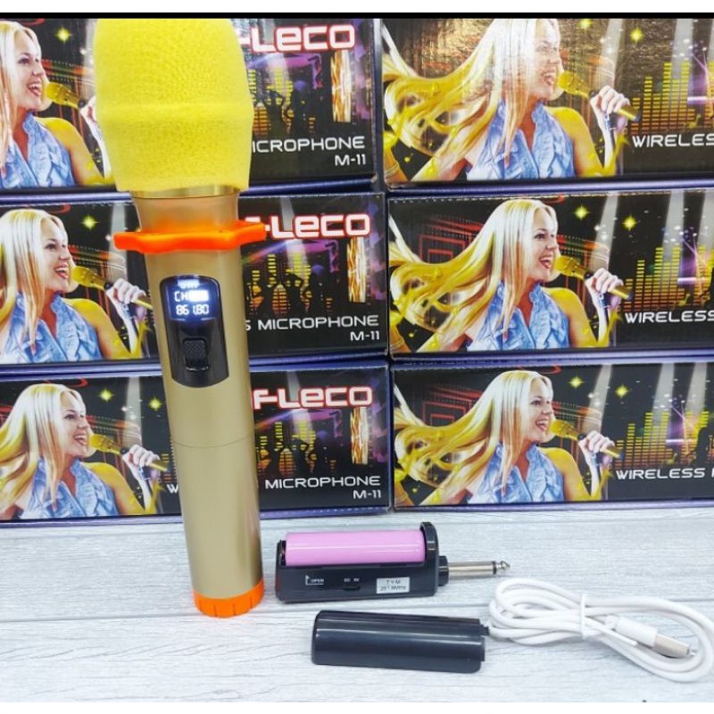 Microphone Profesional Wireless Mic Double FLECO M-11