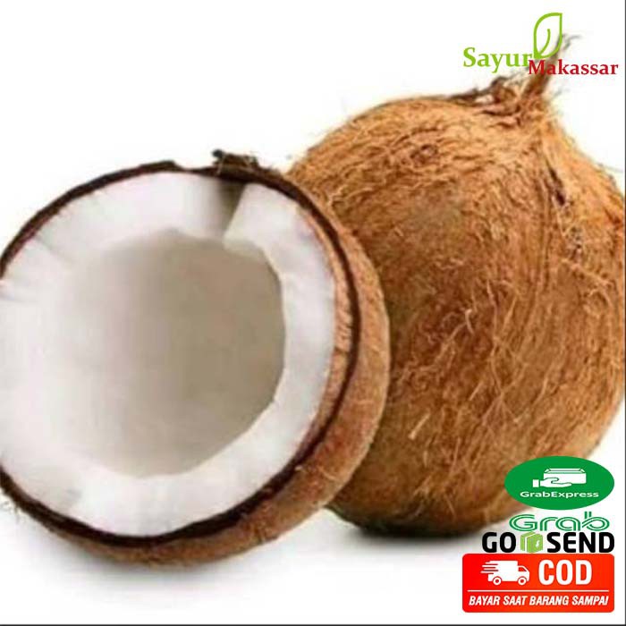 

Buah Kelapa Tua Utuh Pasar Online Makassar