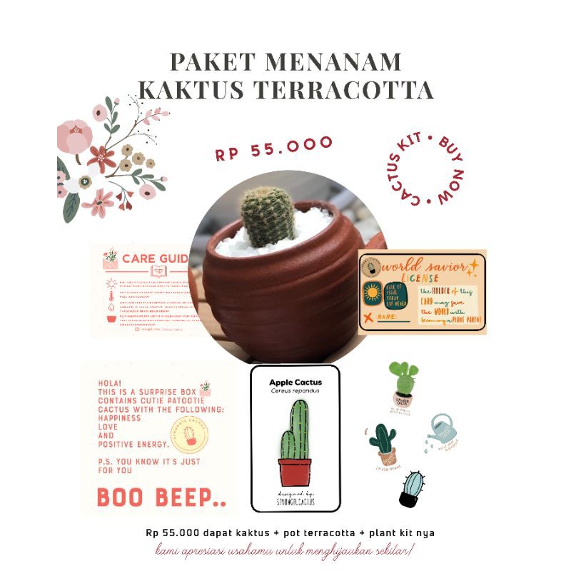 

CACTUS GIFT KIT | TERRACOTA GIFT BOX CACTUS | HAPPINES PLANT KIT