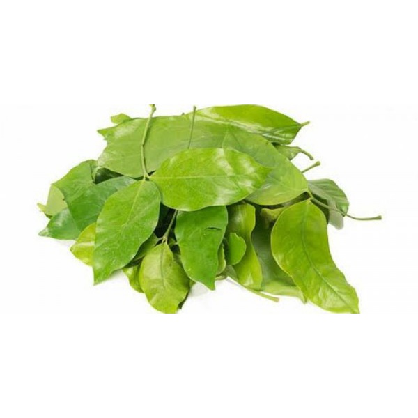 

Daun melinjo segar 500gr (freshjktid)