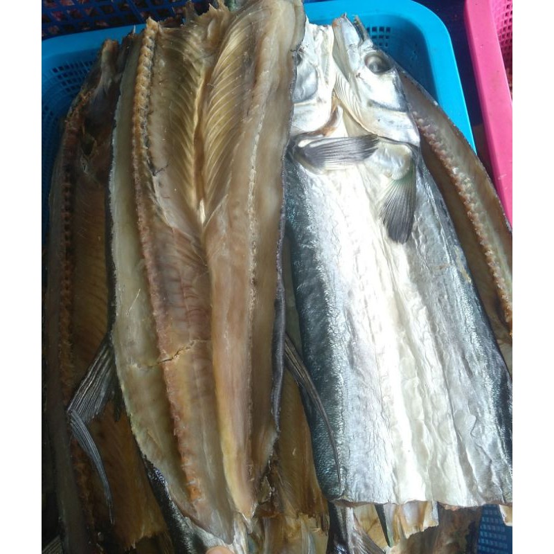 

Ikan Todak Aia Bangih (Tulang Hijau)/250g