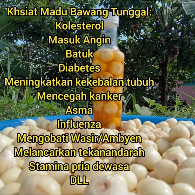 

Madu Bawang Lanang Tunggal