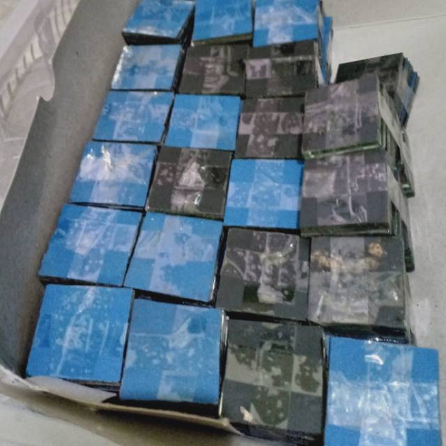 Cermin latih mental ikan cupang