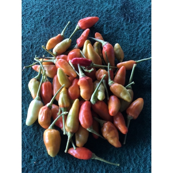 

cabemerah
