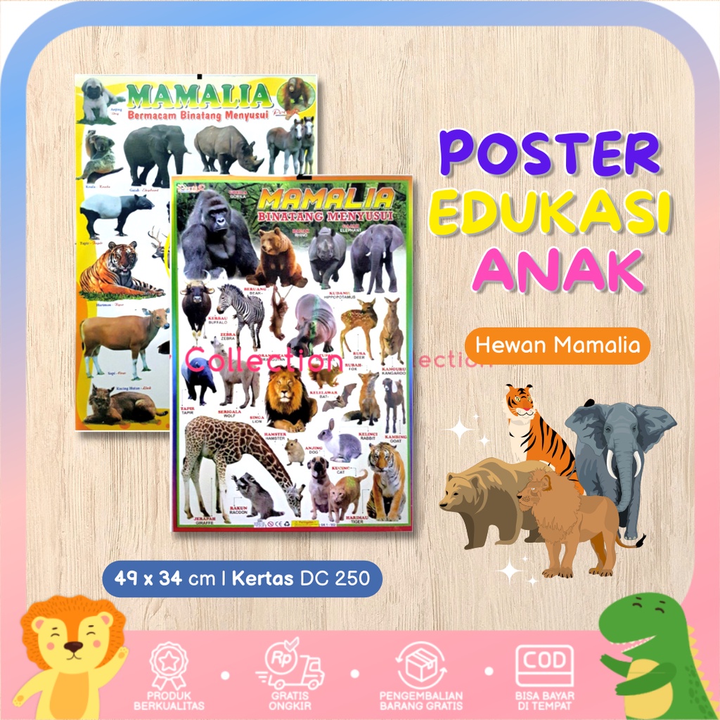 Poster Anak Belajar Aneka Binatang Hewan Mamalia