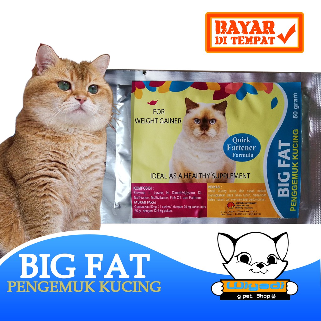 BIG FAT - Obat Suplemen Vitamin Penggemuk Penambah Napsu Makan Kucing Dan Kitten Kurus