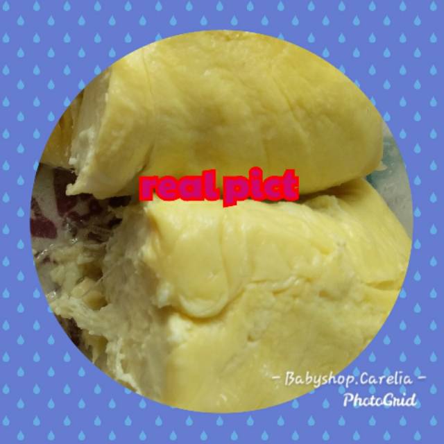 

Durian Montong premium super legit