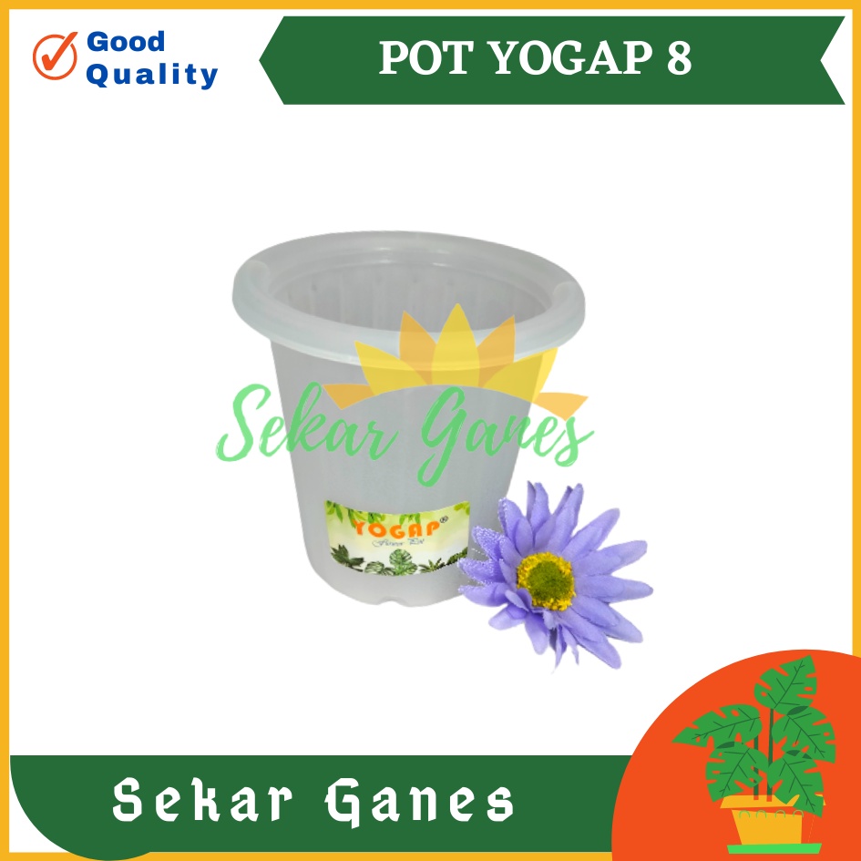 Sekarganes Pot Yogap 8 Bening Pot Yogap 10 13 15 17 18 19 25 30 Pot Yogap Murah