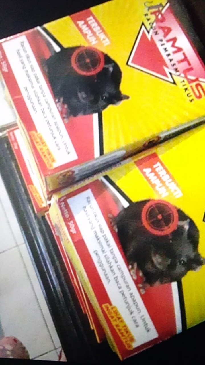 Racun Tikus Ramtus Asli Alami Mati Kering Tidak Bau Pembasmi Pengusir Tikus Super Paling Ampuh 5pack