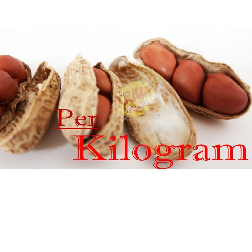 

BISA COD ✔️SPESIAL Kacang KULIT Sangrai SUPER ( 1 Kg )|KD8