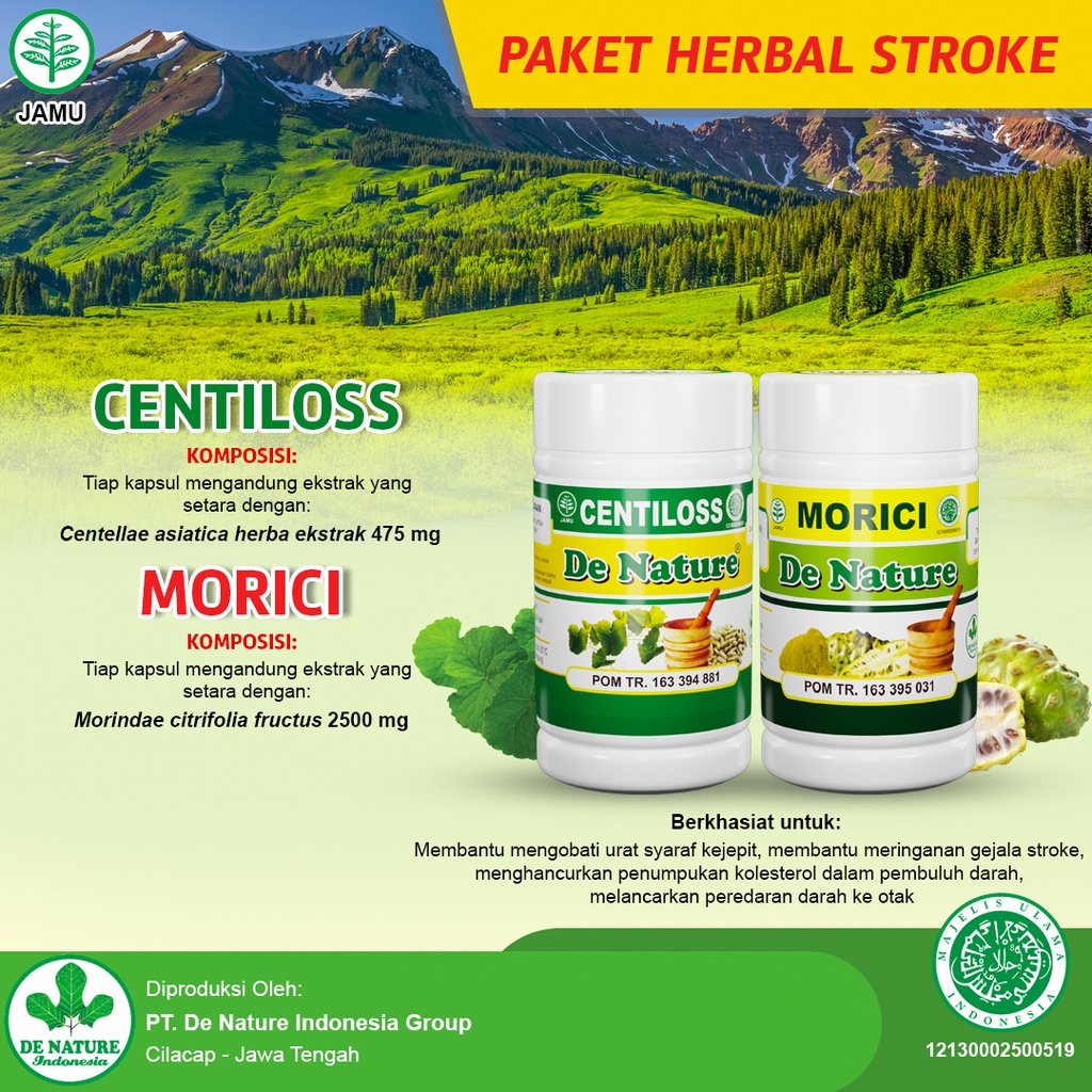 De Nature obat syaraf kejepit - Stroke Ringan - Stroke Hemoragik - Obat Herbal Stroke Iskemik - Obat