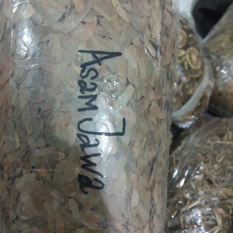 

Daun Asam Jawa Kering Asli Herbal Kualitas Bagus
