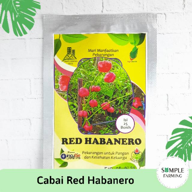 Benih Cabai Red Habanero