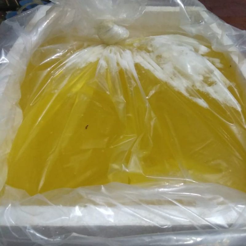 

putih telur fresh/beku murah sehat 500 gram