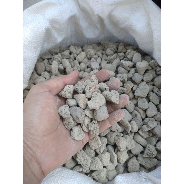 Batu Apung Pumice Stone Kecil u Media Filter Aquarium Media Tanam 500 gr
