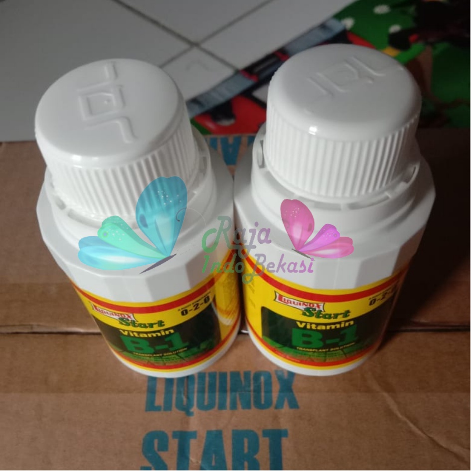 ASLI B1 LIQUINOX 100 ML (JALUR IMPORTIR) 0-2-0 PUPUK CAIR LIQUINOX START Vitamin B1 Aglonema Anggrek Monstera Stek Anti Stres