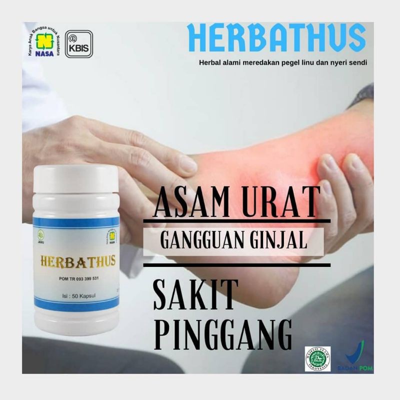 

HERRBATHUS