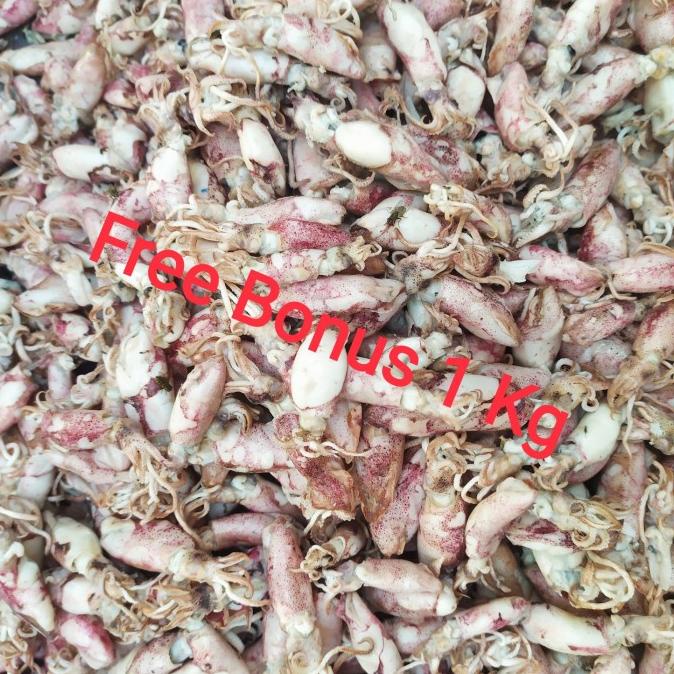 

[COD] Cumi Asin Baby uk 250 Gr + Gratis Bonus [COD]