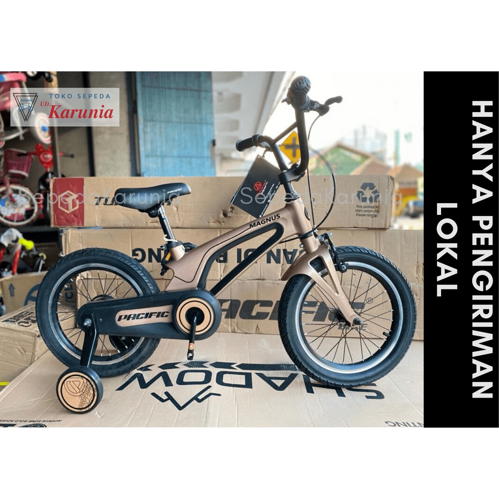 Sepeda Anak Pacific Magnus BMX Magnesium 16 Inch