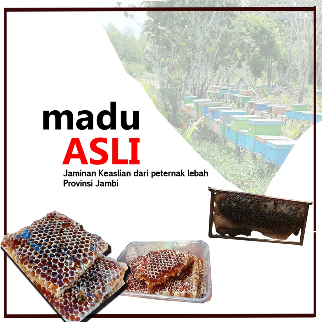 Madu Asli Jambi