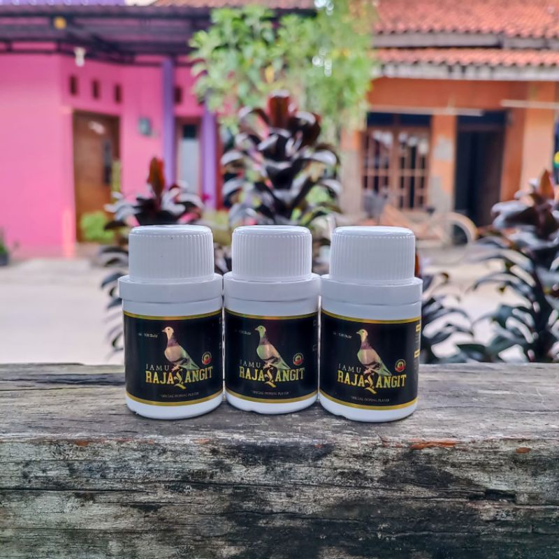 paket 3 botol jamu herbal merpati jamu raja langit