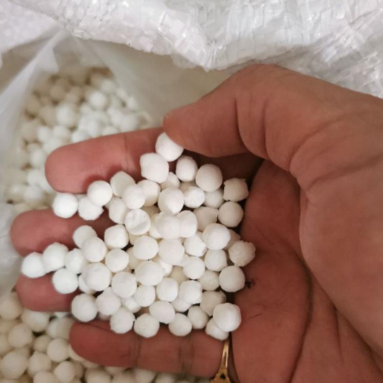 

KVCP Sagu Mutiara Thailand Kecil / Besar Sago Pearl 109ORTR