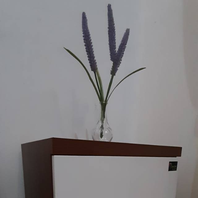 dwnatalisa