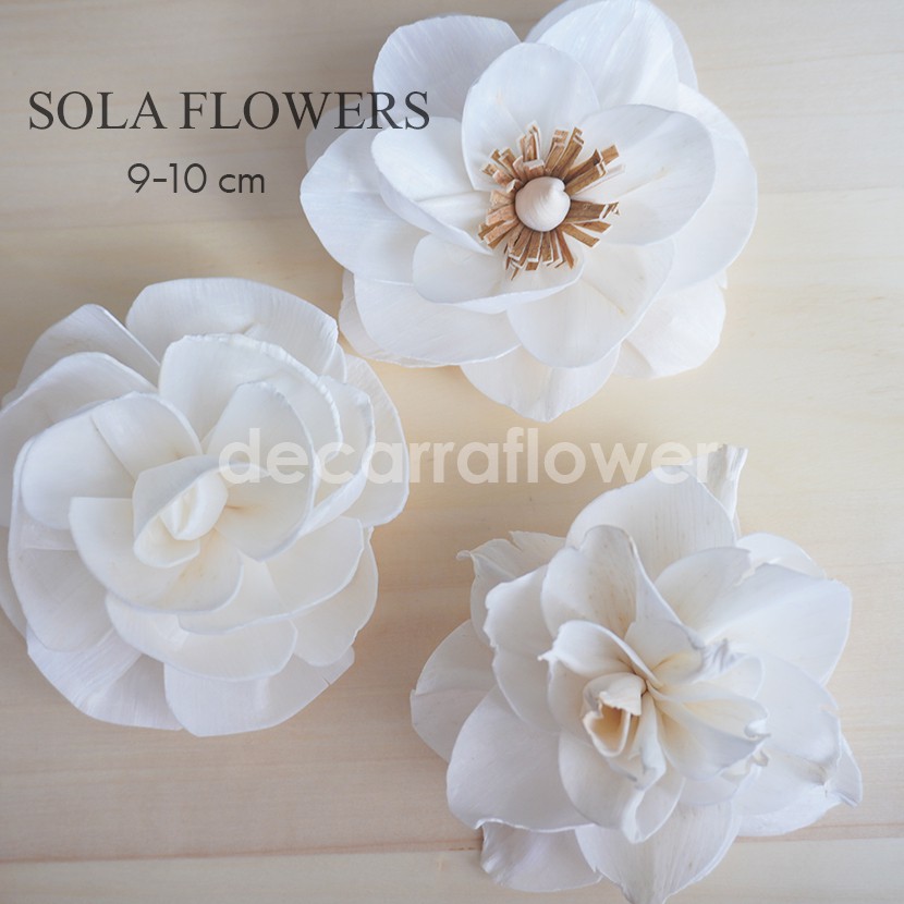Sola Flower / Sola Wood Reed Diffuser / Bunga Sola 9-10CM