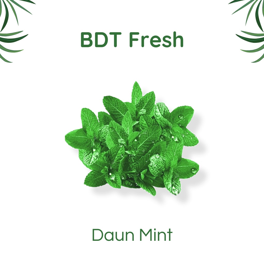 

Daun Mint Segar