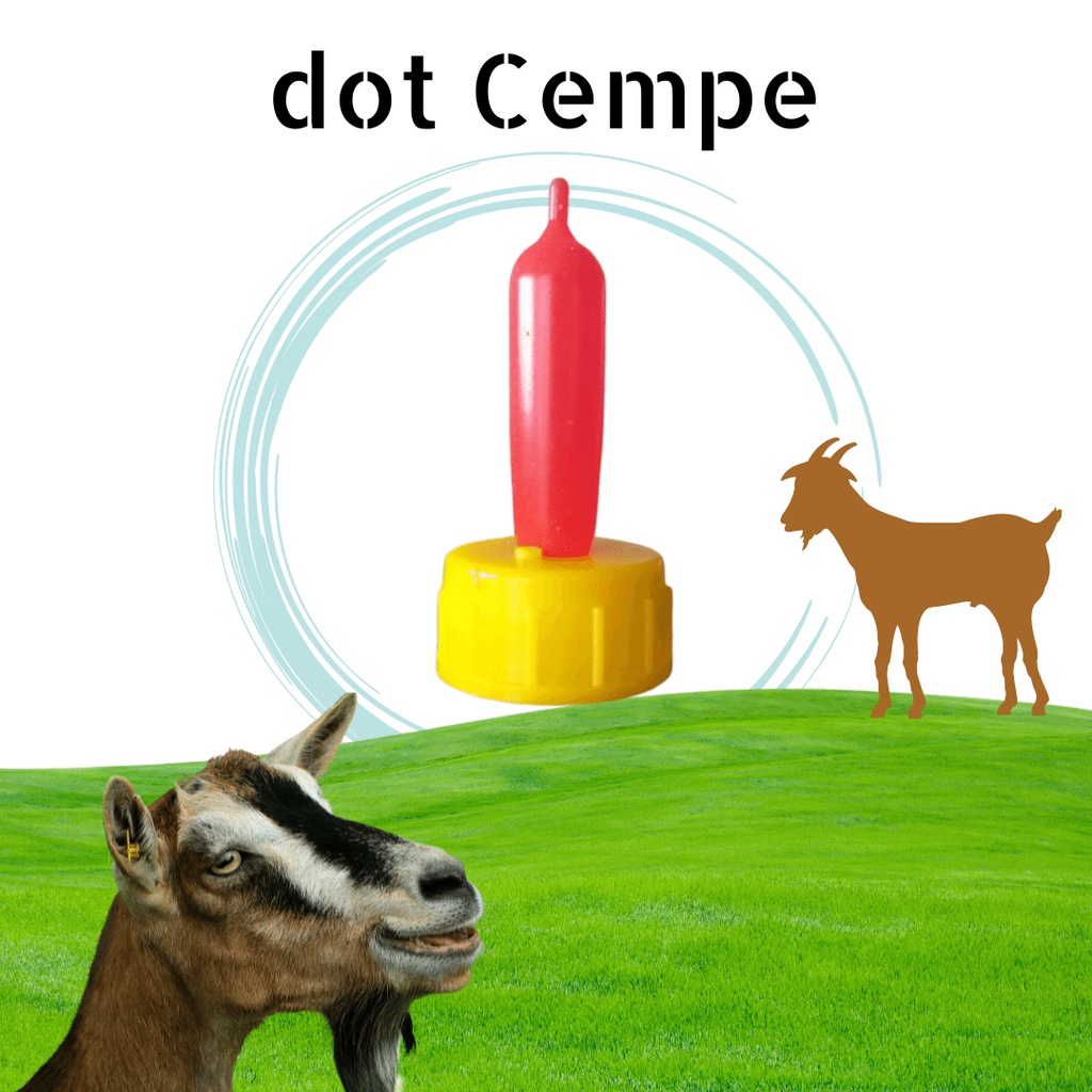 Jual Dot cempe kecil untuk anak kambing dan domba | Shopee Indonesia