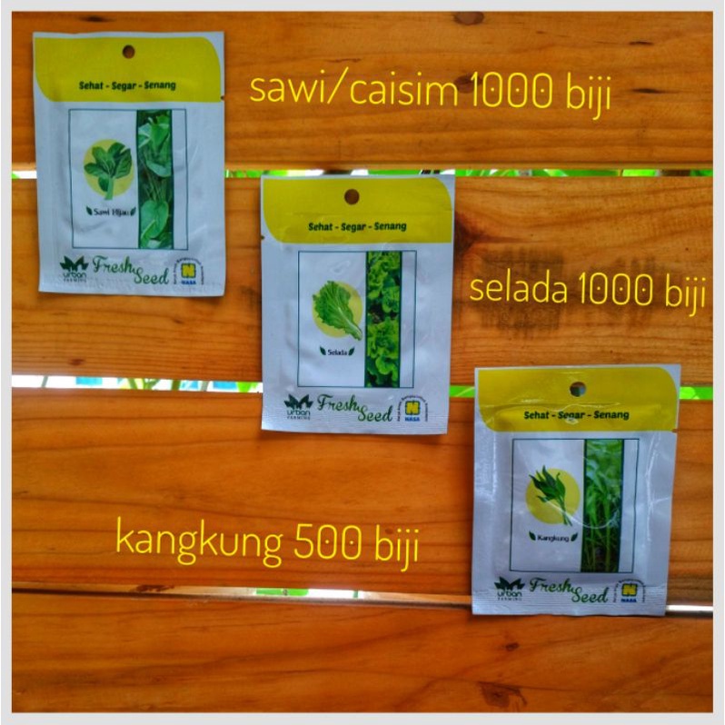 BENIH KANGKUNG SELADA SAWI CAISIM PAKET BENIH SAYURAN DAUN