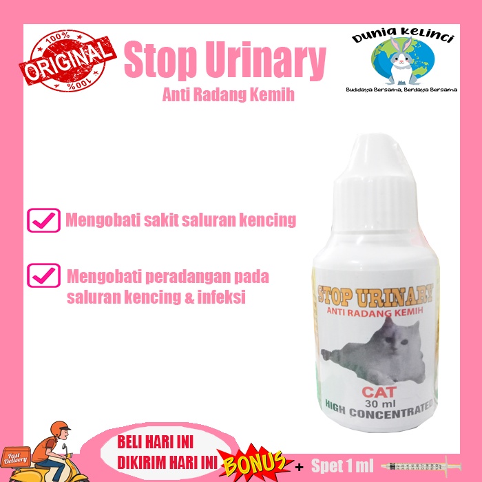 OBAT INFEKSI SALURAN KENCING PADA KUCING STOP URINARY Radang Kemih