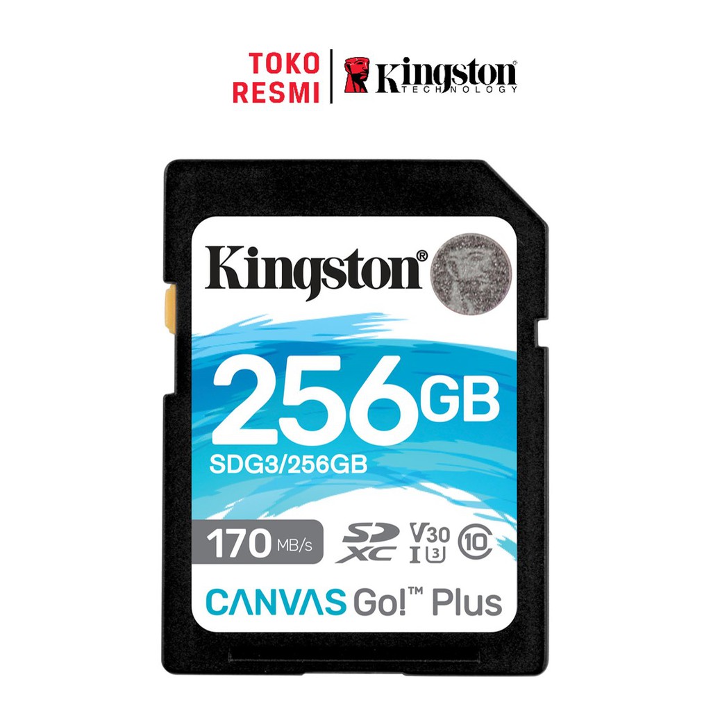 Kingston Canvas Go Plus Class 10 SD Card 256GB (SDG4/256GB) Kecepatan 170MB/dtk