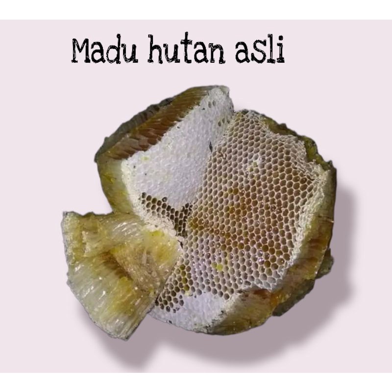 

Madu Hutan Asli madu manis