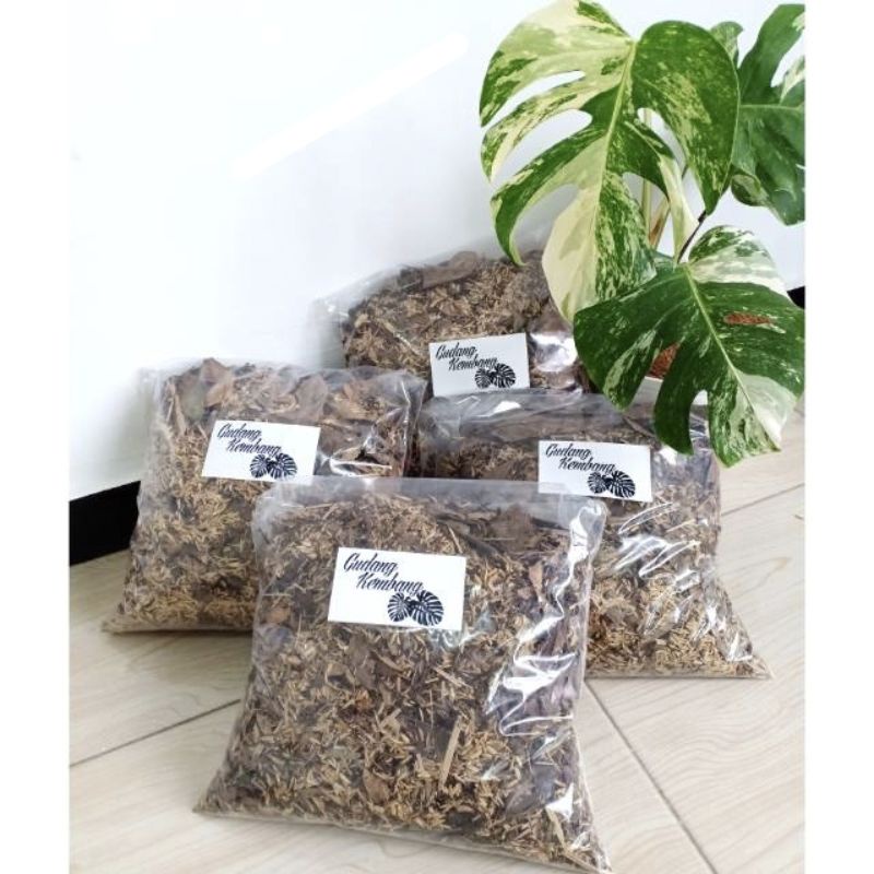 Jual Media Tanam Philodendron Mix Sekam Andam Daun Bambu Kering