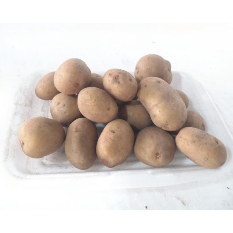 

Kentang bulat 500 g